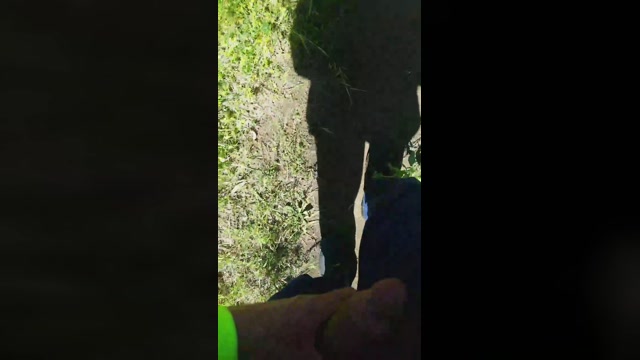 il_sogno17  27-03-2023 Recorded Video toys