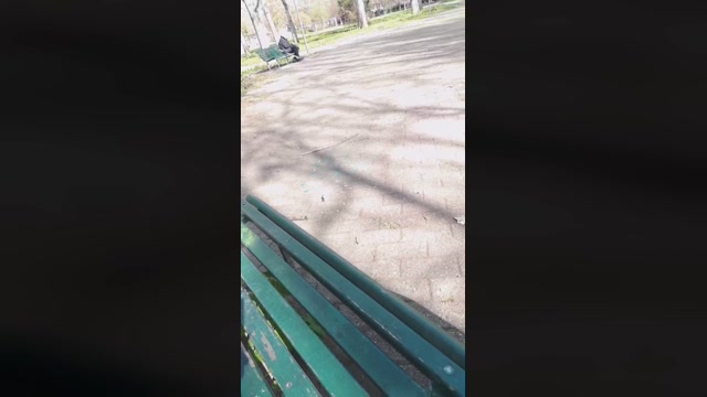 giorgio526  29-03-2023 Recorded Video gag