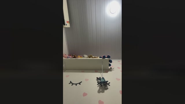 rogersilva8  28-03-2023 Recorded Video oral