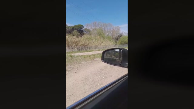 Bcnees  31-03-2023 Recorded Video fingers