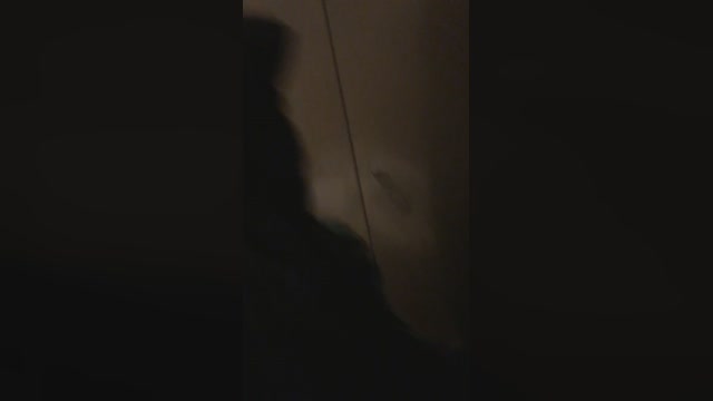 Dapehur  30-03-2023 Recorded Video big