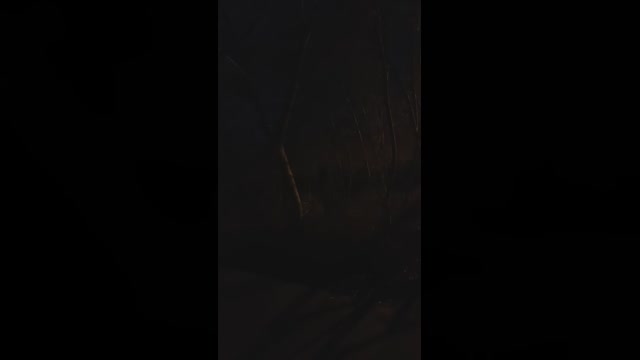 Huang_ing  31-03-2023 Recorded Video Show