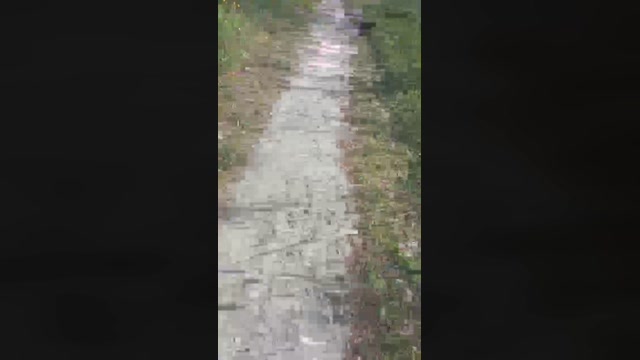 hitch26sexy  31-03-2023 Recorded Video bigcock