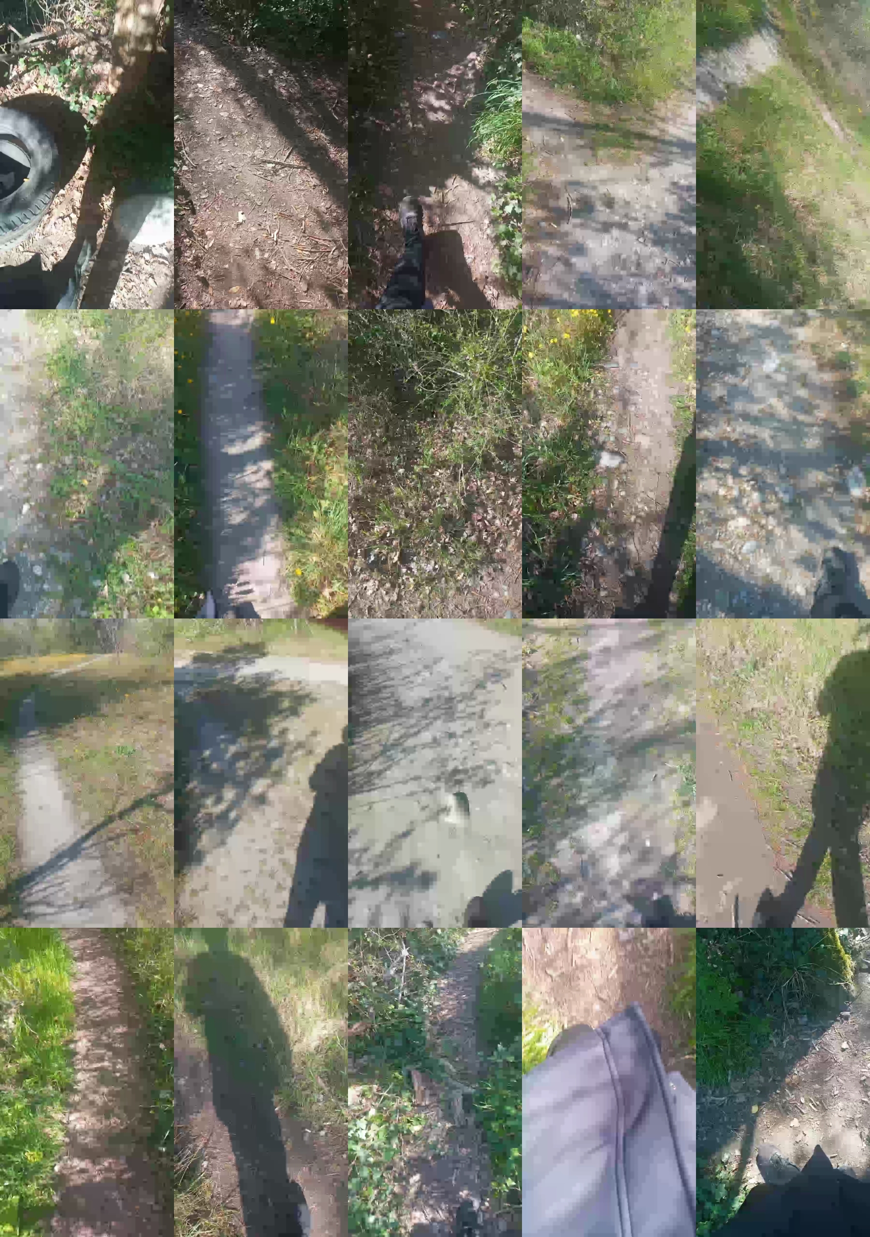 hitch26sexy  31-03-2023 Recorded Video bigcock