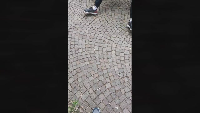 Looper72  31-03-2023 Recorded Video gag