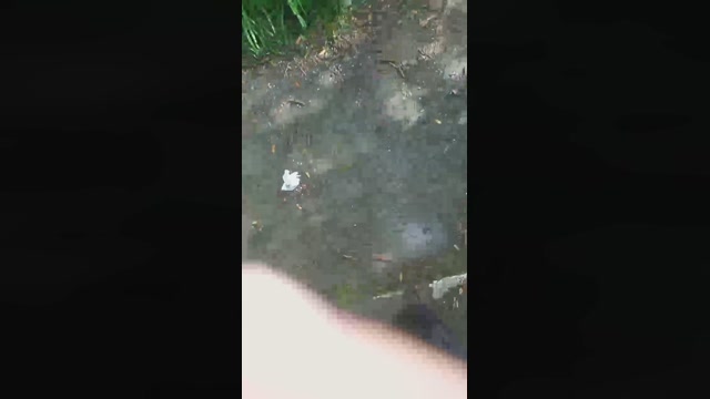 hitch26sexy  01-04-2023 Recorded Video jerkoff
