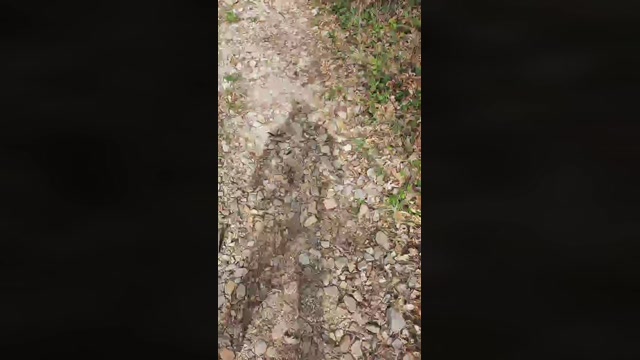 ENI__  02-04-2023 Recorded Video suckcock