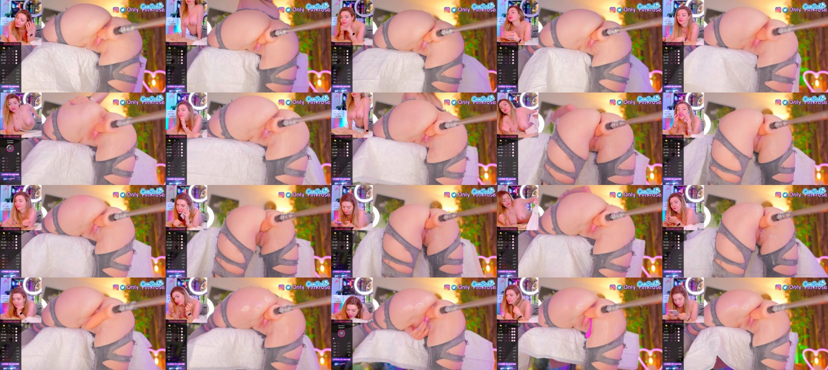 pink-rose 02-04-2023 cute CamSoda