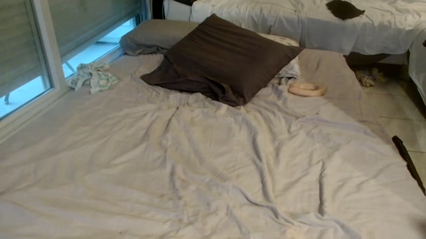 planexhib2  01-04-2023 Recorded Video hot