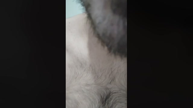walace443xxx  01-04-2023 Recorded Video harddick