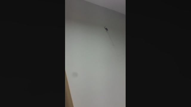 Julianabacker 03-04-2023 spanking 