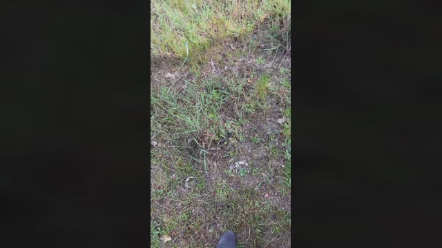 Mufu19  03-04-2023 Recorded Video love