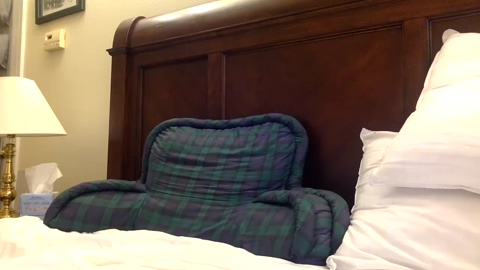 akwild1  02-04-2023 video sexy