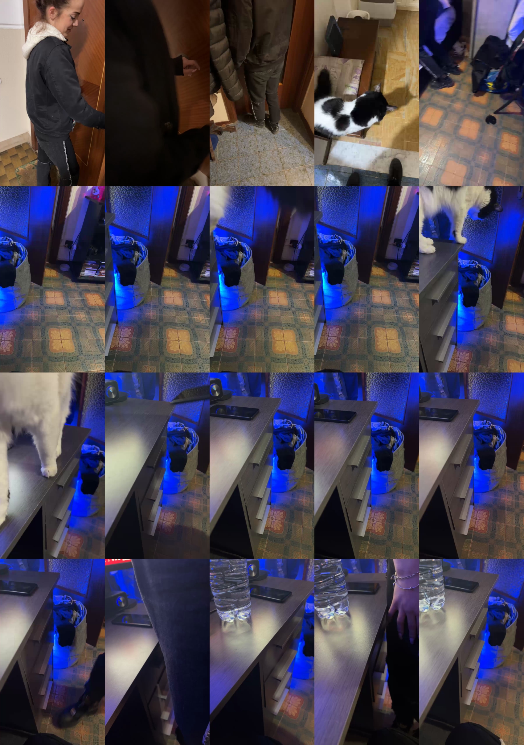 Preview