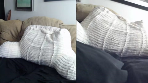 illuxx  02-04-2023 video jerkoff