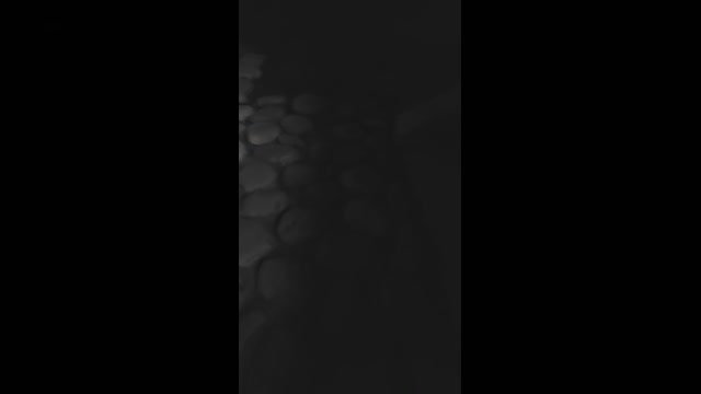 7PuPu  03-04-2023 Recorded Video bigcock