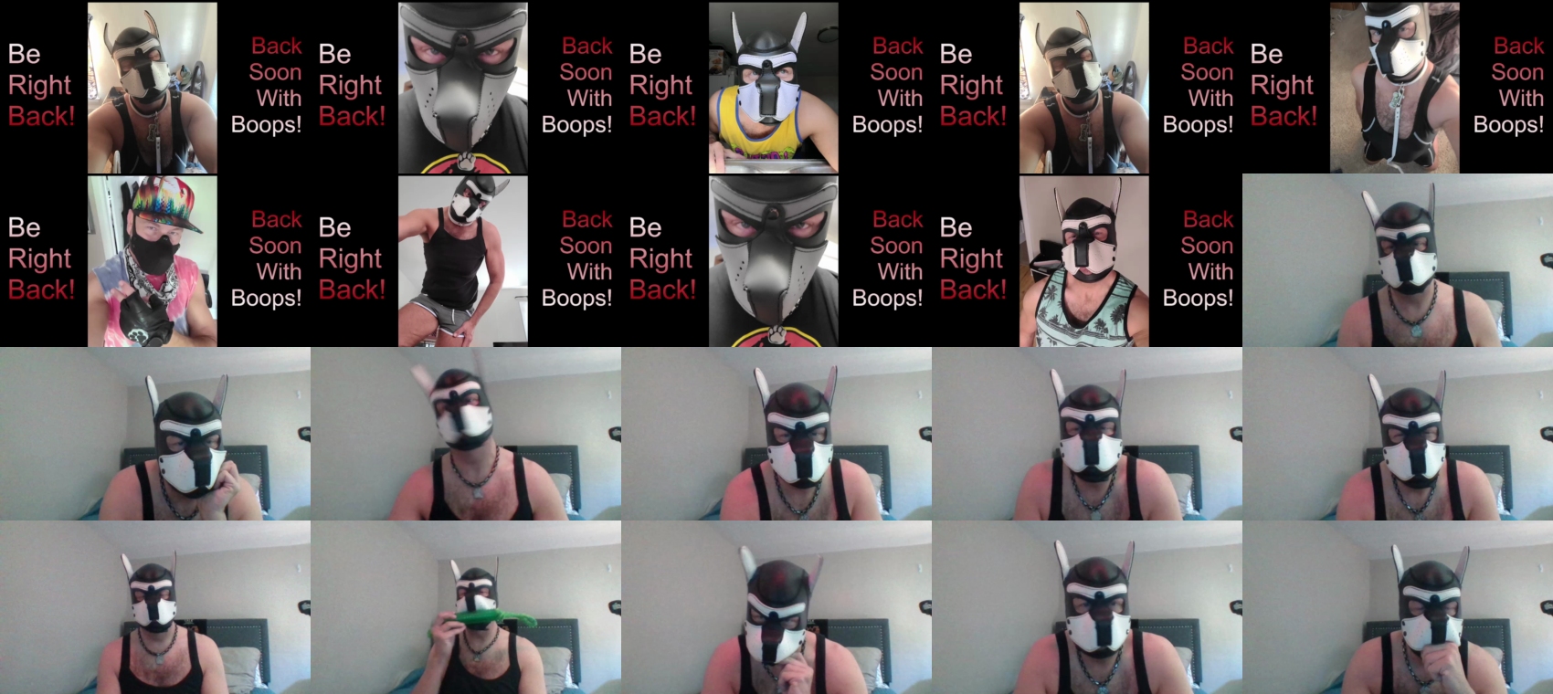 alphawolf_and_pack  04-04-2023 video beautiful