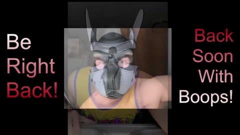 alphawolf_and_pack  04-04-2023 video beautiful