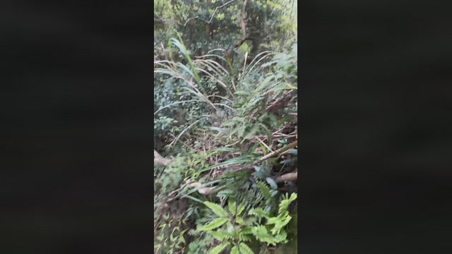 mango3950  03-04-2023 Recorded Video skinny
