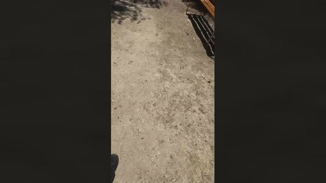 Alcalaguarreo1  05-04-2023 Recorded Video fuckher