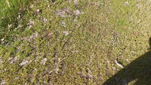 Cuni40  04-04-2023 Recorded Video ass
