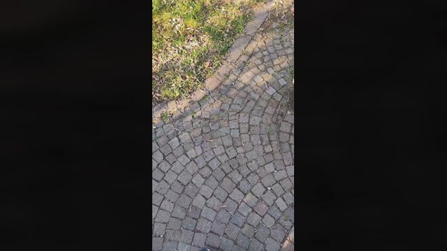 Korigo  04-04-2023 Recorded Video love