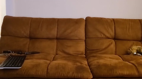 _ddawn  04-04-2023 video bigtoys