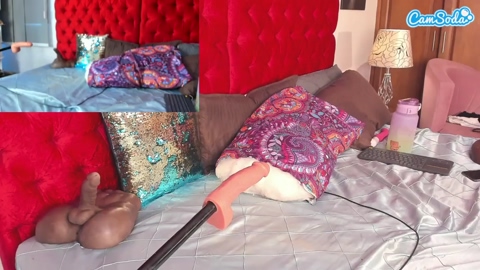 larafoxx 04-04-2023 ass CamSoda
