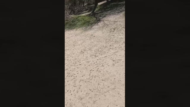 Gastea1  06-04-2023 Recorded Video fuckass