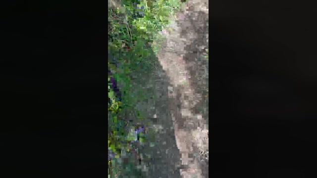 hitch26sexy  06-04-2023 Recorded Video orgasm