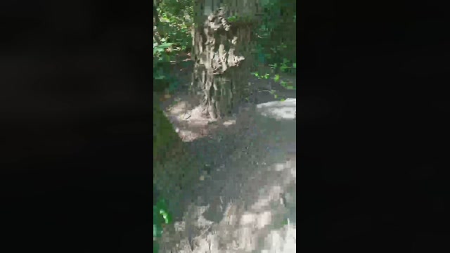 hitch26sexy  06-04-2023 Recorded Video orgasm