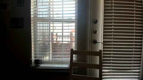 bashful4200  06-04-2023 video suck