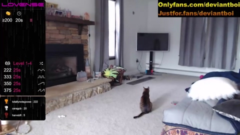 deviantill  06-04-2023 video twink