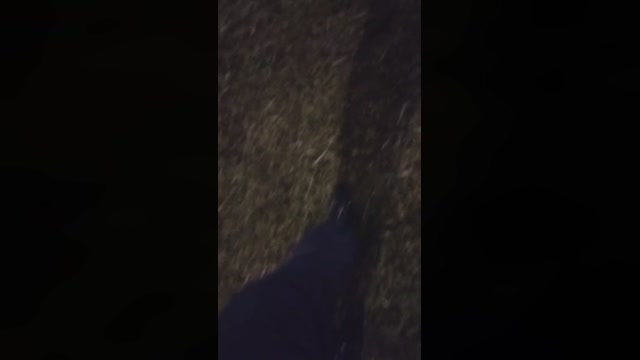 Chocolatespzn3  07-04-2023 Recorded Video amateur
