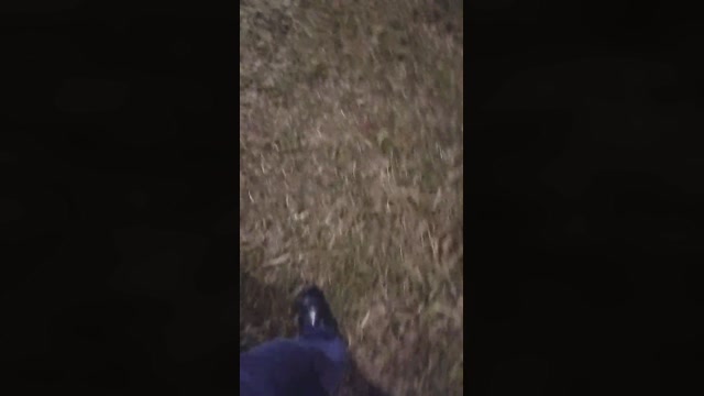 Chocolatespzn3  07-04-2023 Recorded Video Naked