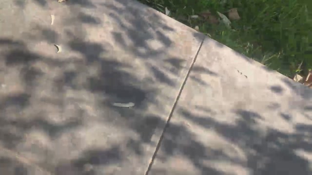 Dapehur  07-04-2023 Recorded Video toys