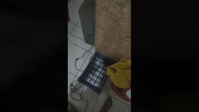 Morenohetrj  07-04-2023 Recorded Video sex
