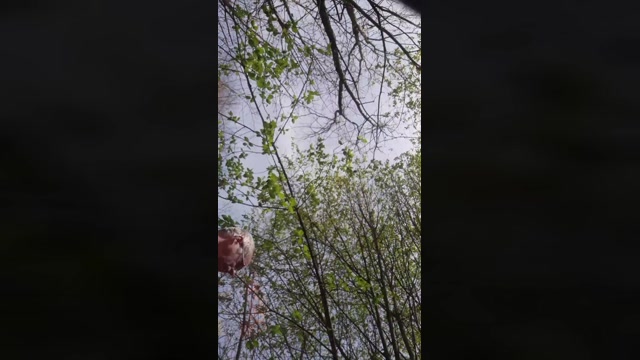 likenylon1  10-04-2023 Recorded Video jerking