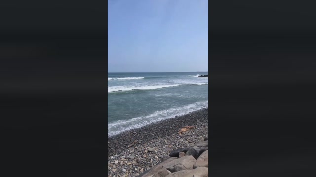 Dapehur  10-04-2023 Recorded Video hot