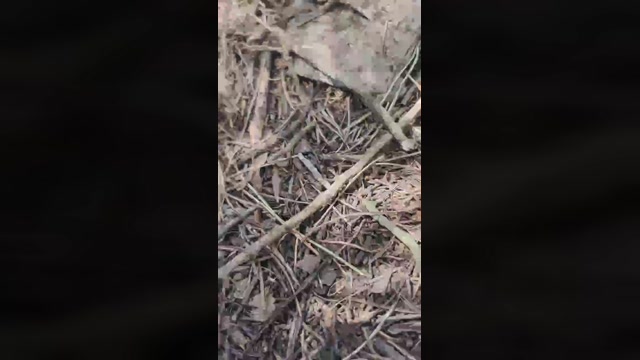 chiclanero26  11-04-2023 Recorded Video play