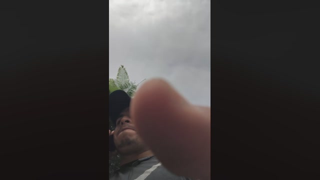 Dapehur  11-04-2023 Recorded Video play