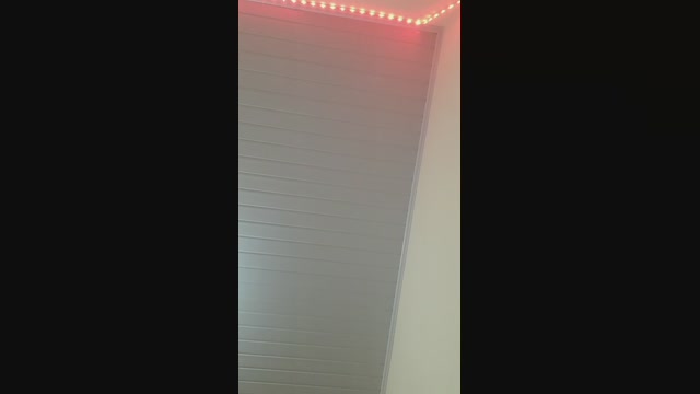 RuivaeMarido  12-04-2023 Recorded Video Porn