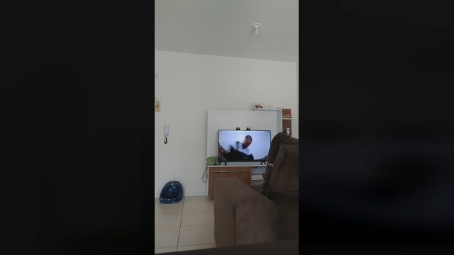 japabrasil1 12-04-2023 fuckass 