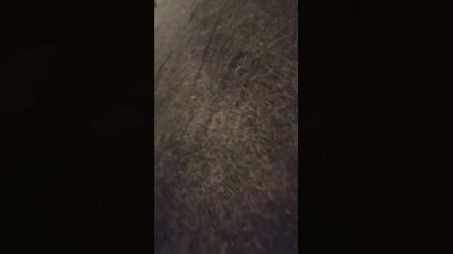 Chocolatespzn3  13-04-2023 Recorded Video lick