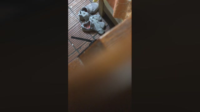 Dapehur  13-04-2023 Recorded Video blowjob