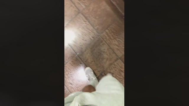 Dapehur  13-04-2023 Recorded Video bigass