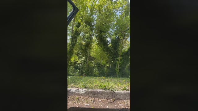 JOREDD  15-04-2023 Recorded Video kink