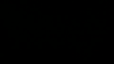 bashful4200  16-04-2023 video kinky