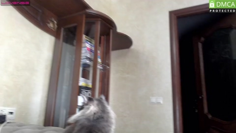 james_friends  16-04-2023 video yummy