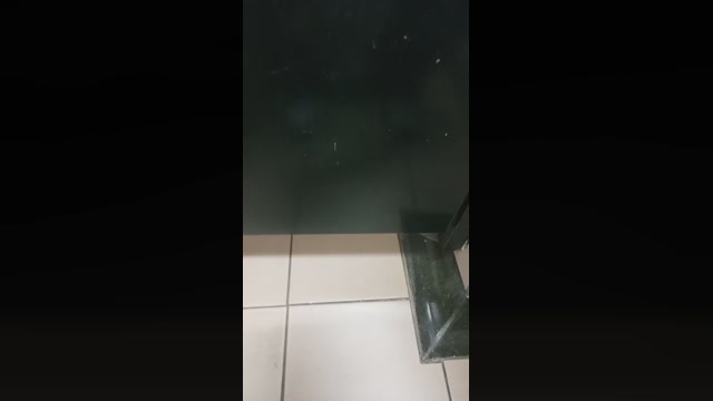 bastianboyfun  17-04-2023 Recorded Video lush